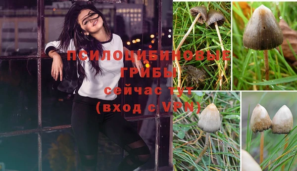 гашишное масло Абаза