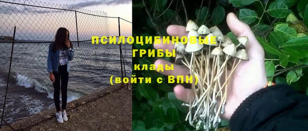 сатива Абинск