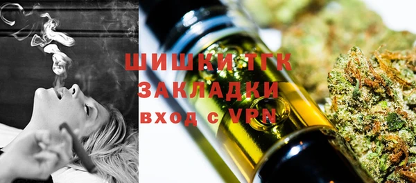сатива Абинск